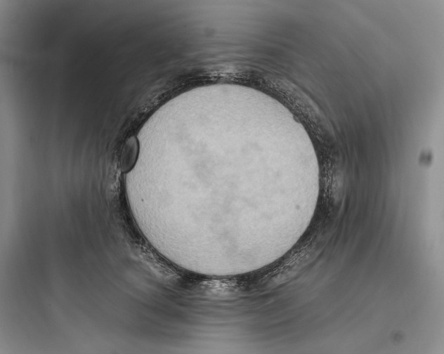 X0000097600660200803211700