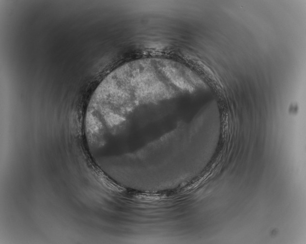 X0000097600661200803211700