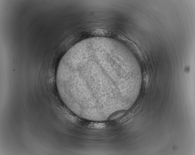 X0000097600665200803211700