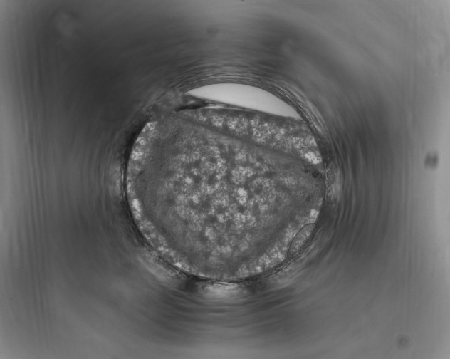 X0000097600669200803211701