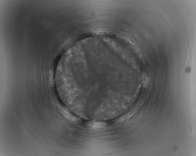 X0000097600670200803211701