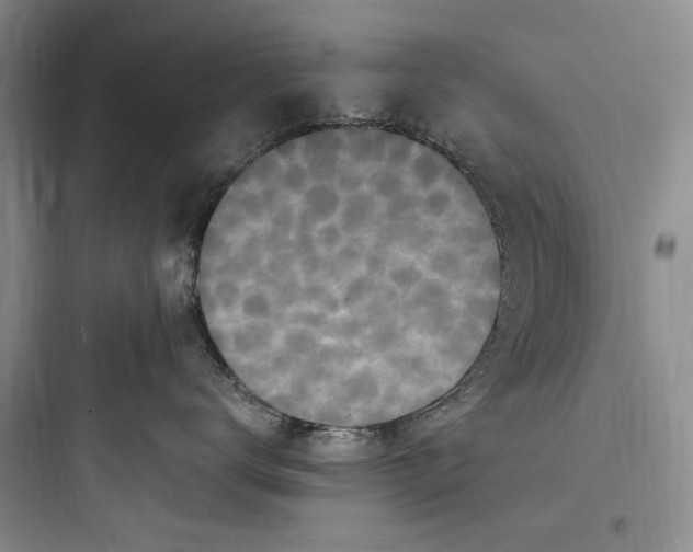 X0000097600672200803211701