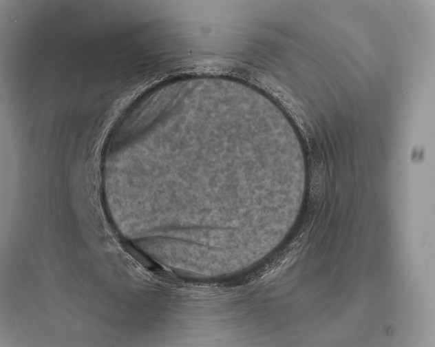 X0000097600673200803211700