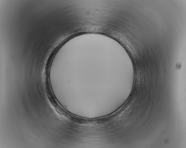X0000097600674200803211700