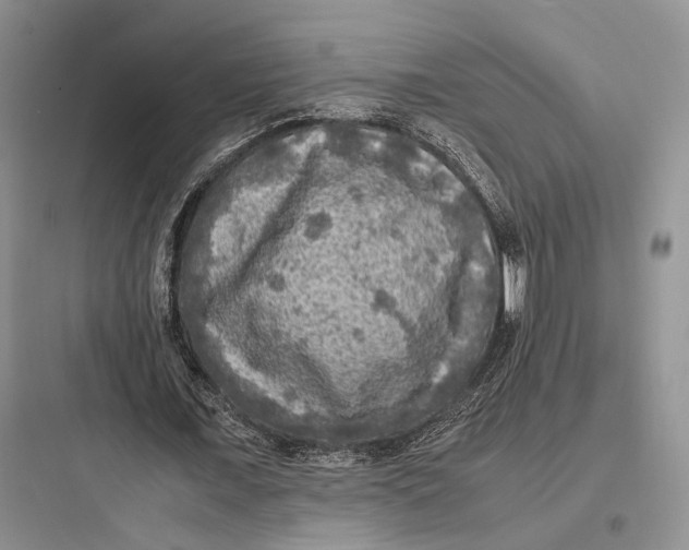 X0000097600675200803211700