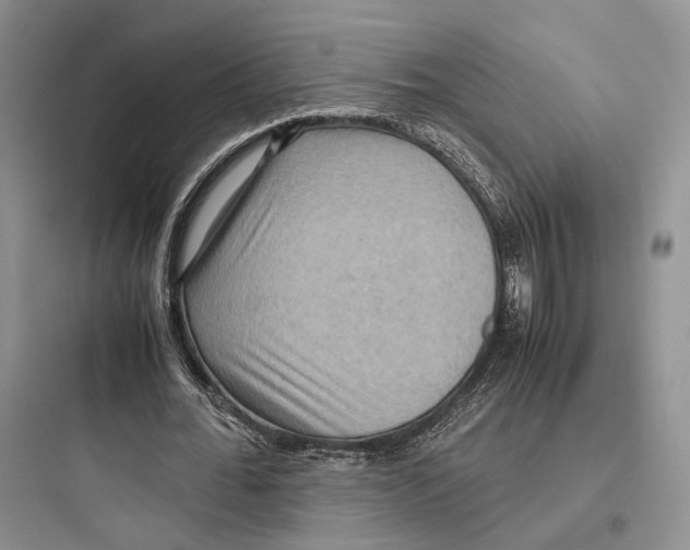 X0000097600676200803211700