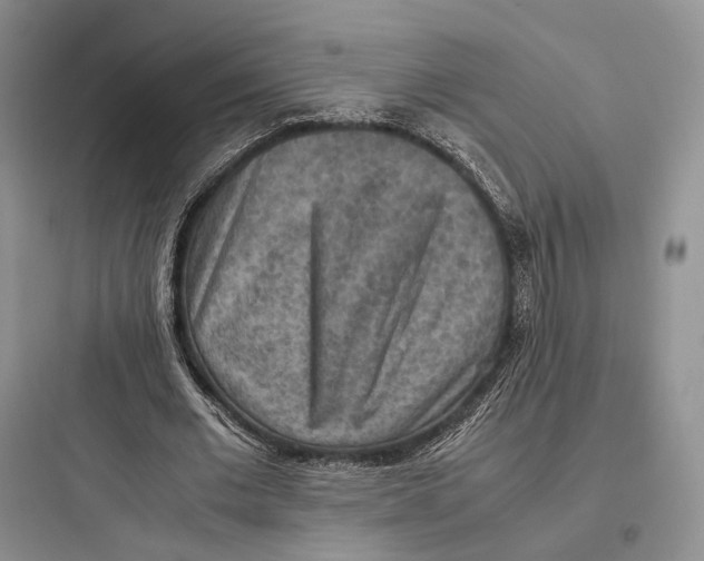 X0000097600677200803211700