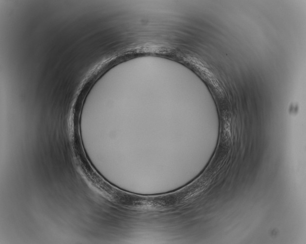 X0000097600678200803211700