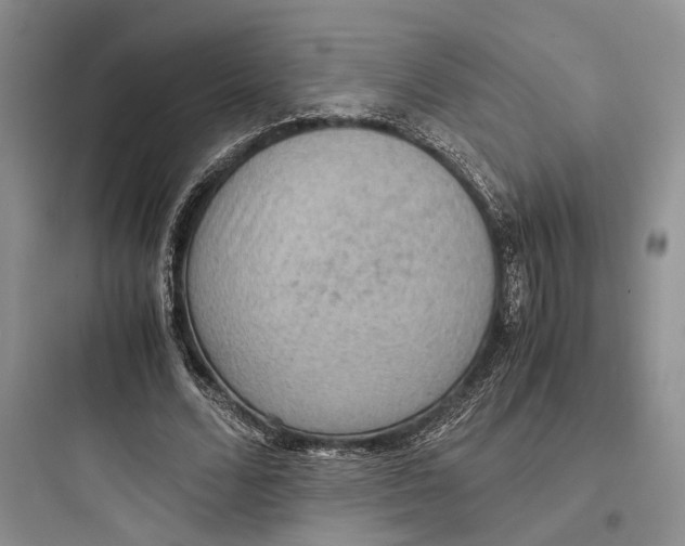 X0000097600680200803211700