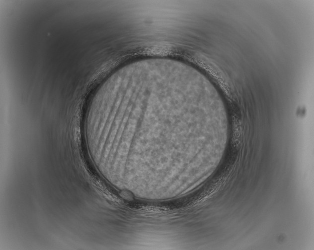 X0000097600681200803211700