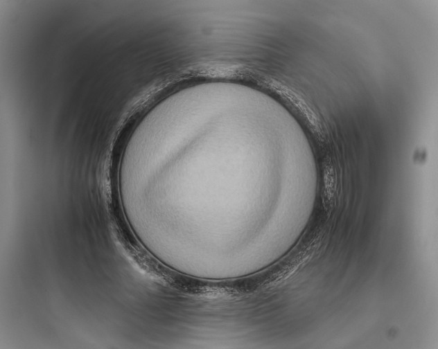 X0000097600682200803211700