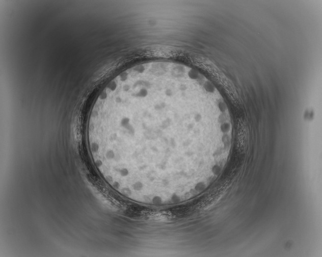 X0000097600683200803211700