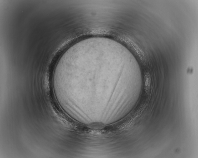 X0000097600684200803211700