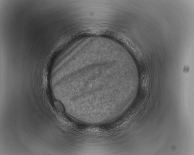 X0000097600685200803211700