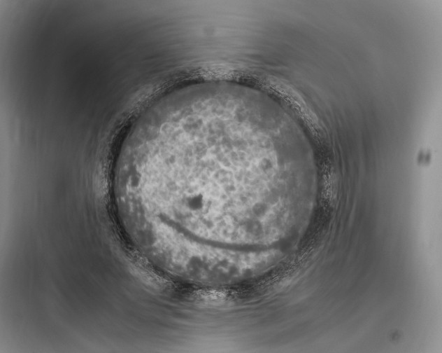 X0000097600687200803211700