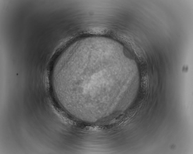 X0000097600688200803211700