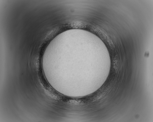 X0000097600690200803211700