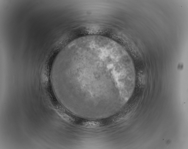 X0000097600691200803211700