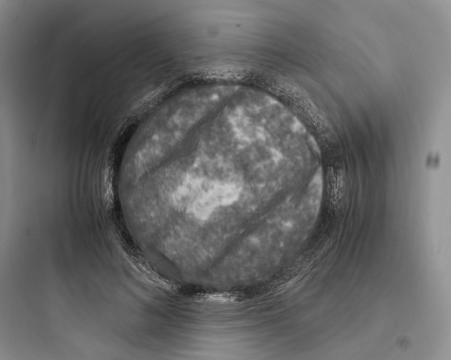X0000097600692200803211700
