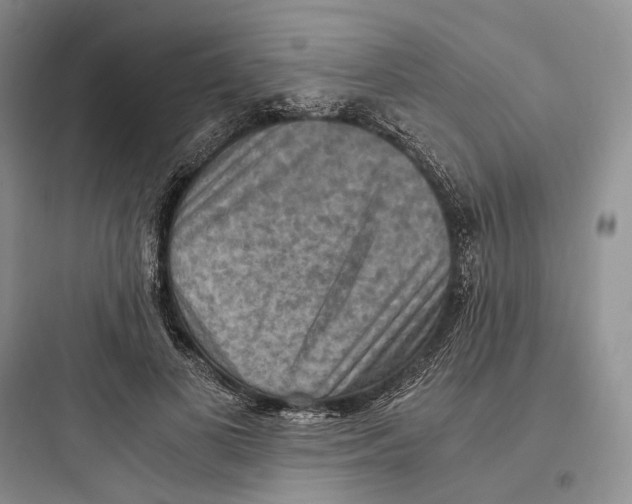 X0000097600693200803211700