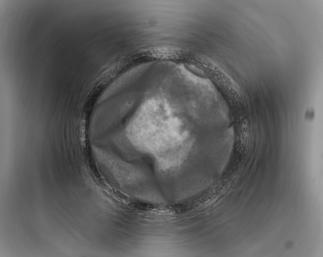 X0000097600696200803211700