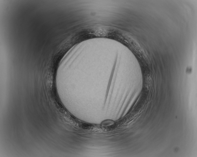 X0000097600697200803211700