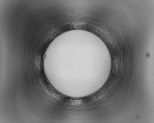 X0000097600698200803211700