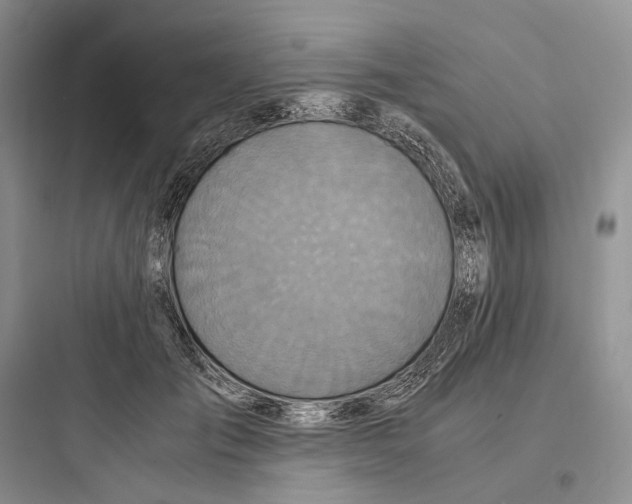 X0000097600701200803211700