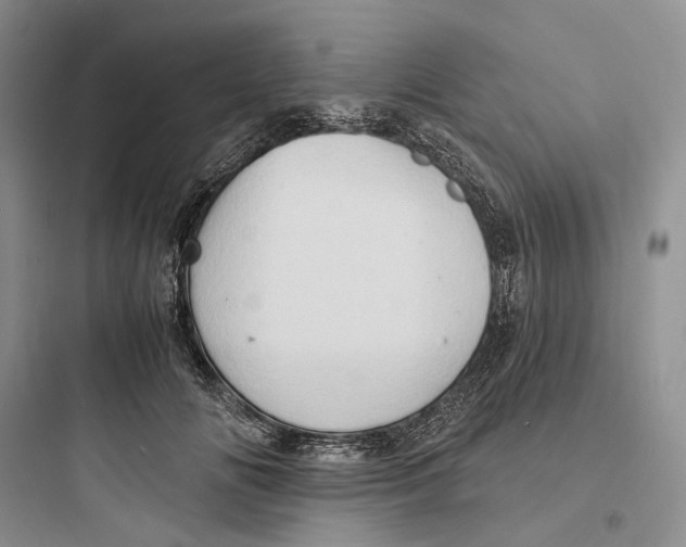 X0000097600702200803211700