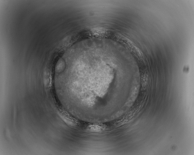 X0000097600703200803211659