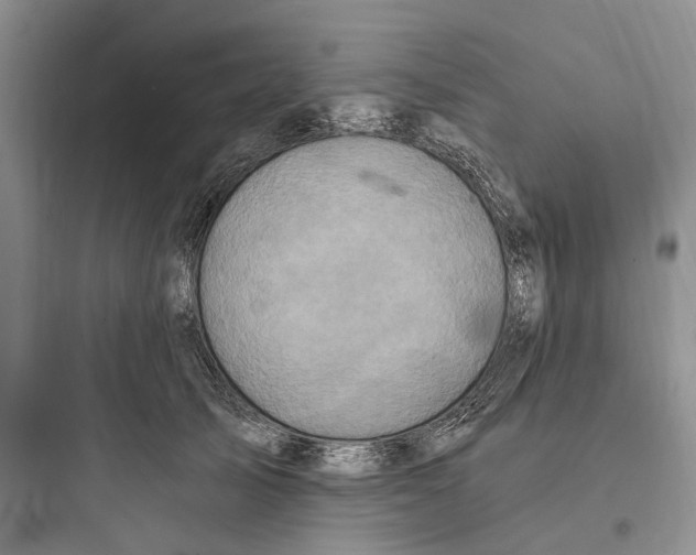 X0000097600705200803211659