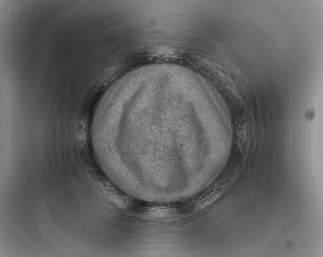 X0000097600708200803211659
