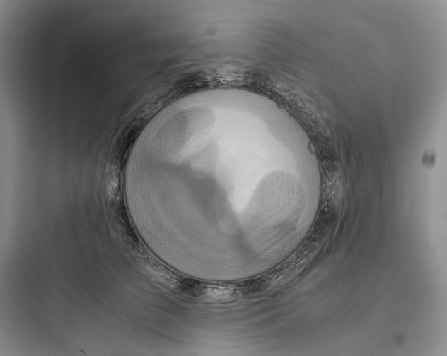 X0000097600709200803211659