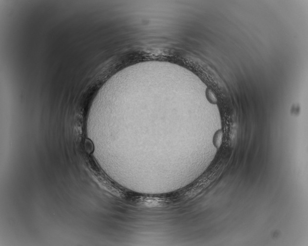 X0000097600710200803211659