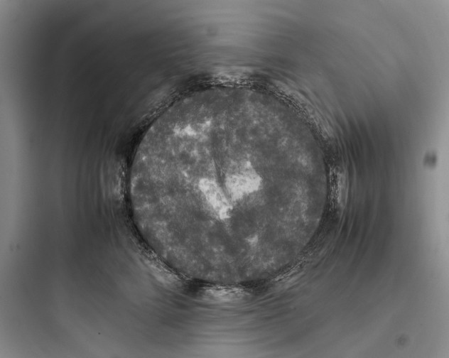X0000097600712200803211659