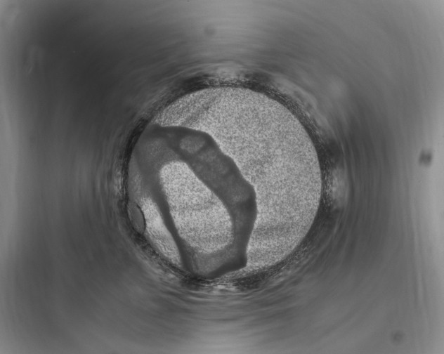 X0000097600715200803211659