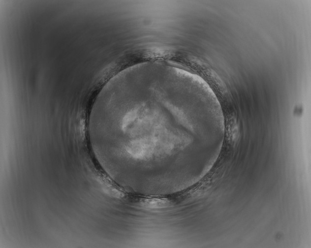 X0000097600716200803211659
