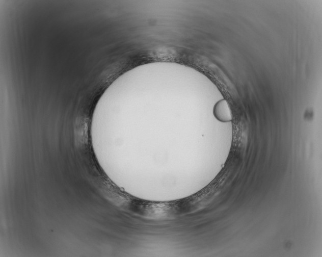 X0000097600717200803211659