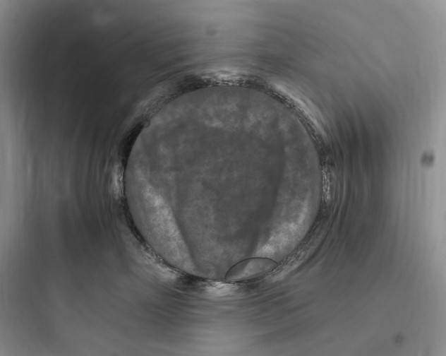 X0000097600718200803211659