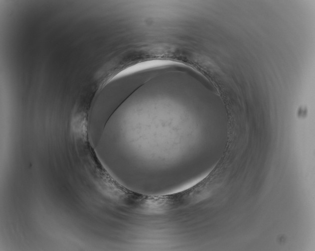 X0000097600720200803211659