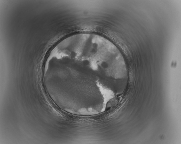 X0000097600721200803211659
