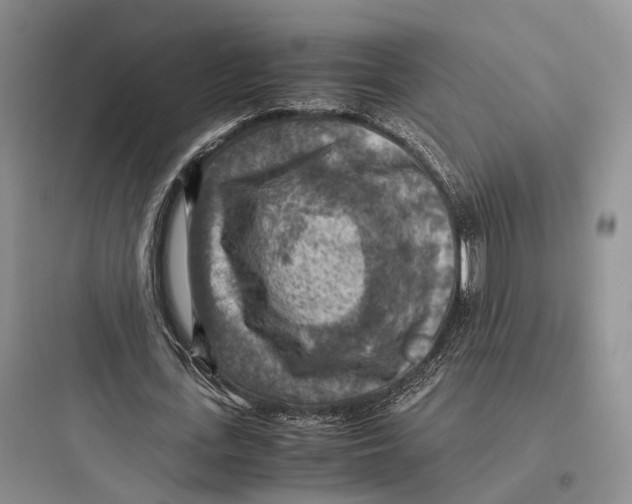 X0000097600723200803211659