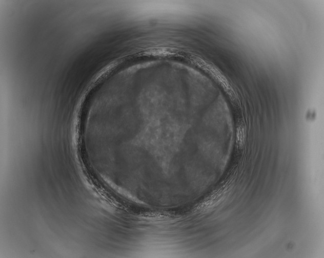 X0000097600724200803211659