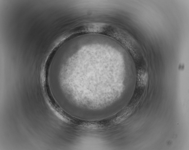 X0000097600726200803211659