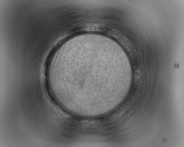 X0000097600727200803211659
