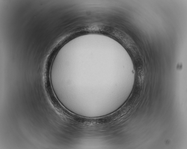 X0000097600728200803211659