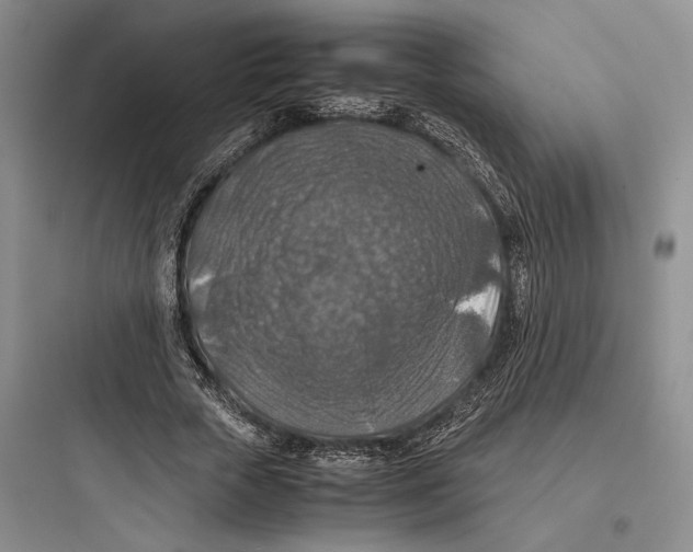 X0000097600729200803211659
