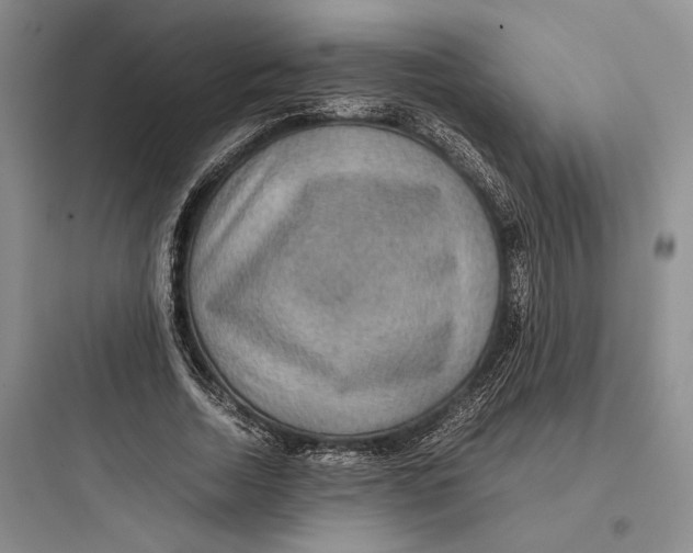 X0000097600730200803211659