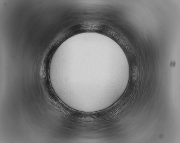 X0000097600731200803211659