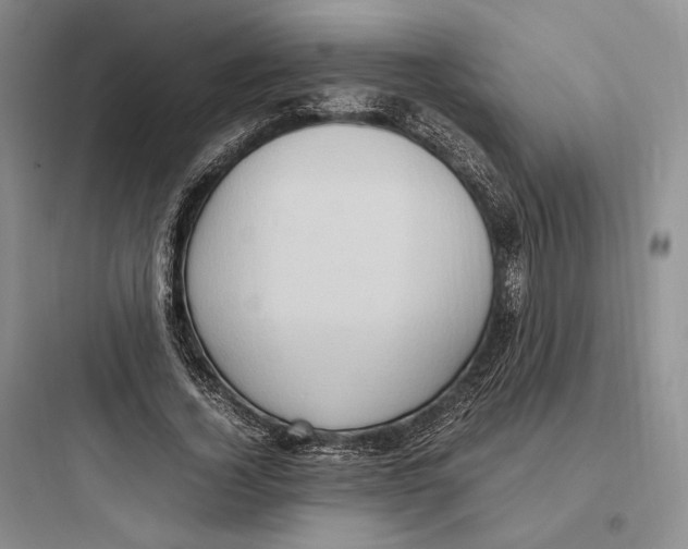 X0000097600732200803211659